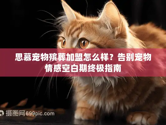 思慕宠物殡葬加盟怎么样？告别宠物情感空白期终极指南