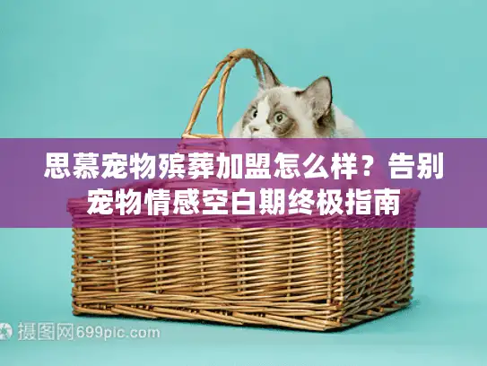 思慕宠物殡葬加盟怎么样？告别宠物情感空白期终极指南
