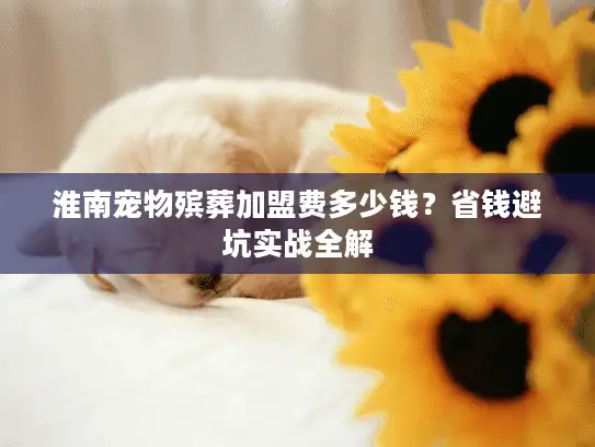 淮南宠物殡葬加盟费多少钱？省钱避坑实战全解