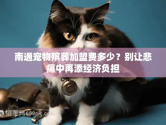 南通宠物殡葬加盟费多少？别让悲痛中再添经济负担