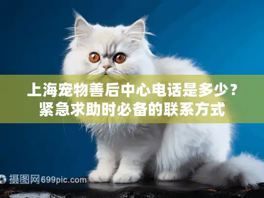 上海宠物善后中心电话是多少？紧急求助时必备的联系方式
