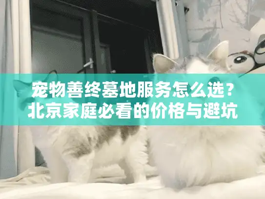 宠物善终墓地服务怎么选？北京家庭必看的价格与避坑指南