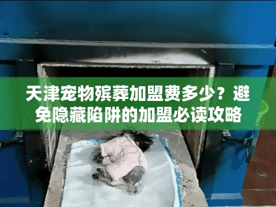 天津宠物殡葬加盟费多少？避免隐藏陷阱的加盟必读攻略