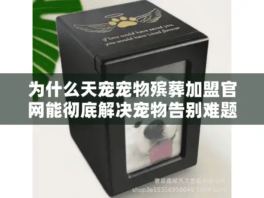 为什么天宠宠物殡葬加盟官网能彻底解决宠物告别难题？告别爱宠不再心碎！