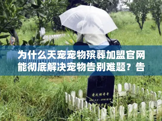 为什么天宠宠物殡葬加盟官网能彻底解决宠物告别难题？告别爱宠不再心碎！