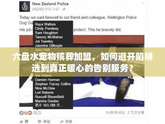 六盘水宠物殡葬加盟，如何避开陷阱选到真正暖心的告别服务？