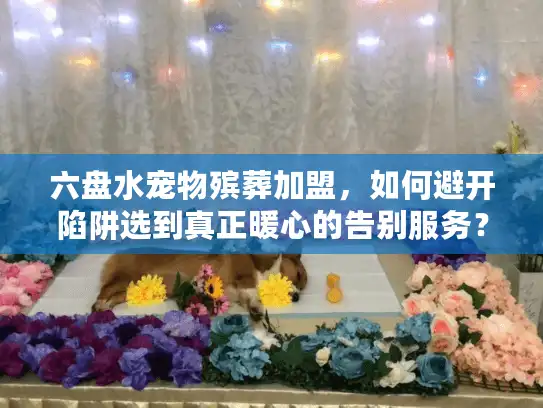六盘水宠物殡葬加盟，如何避开陷阱选到真正暖心的告别服务？