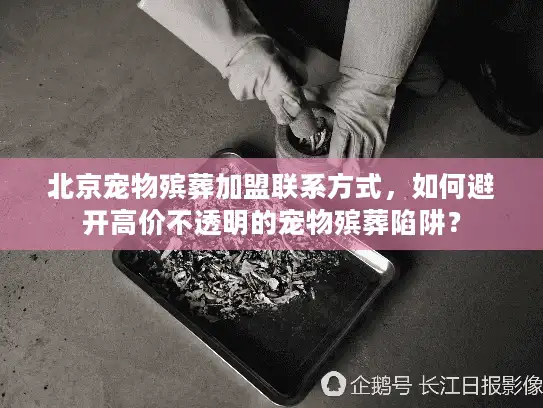 北京宠物殡葬加盟联系方式，如何避开高价不透明的宠物殡葬陷阱？