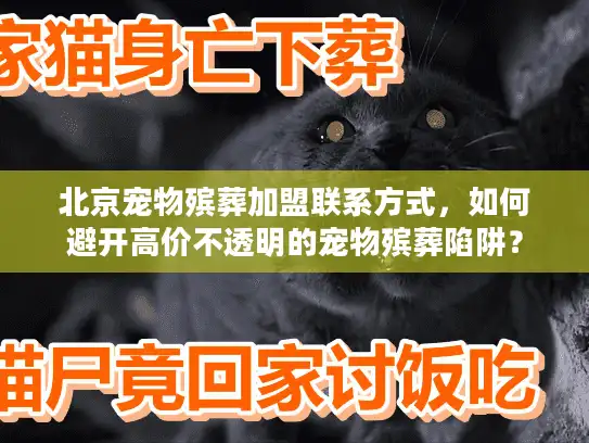 北京宠物殡葬加盟联系方式，如何避开高价不透明的宠物殡葬陷阱？