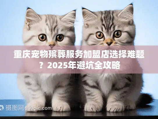 重庆宠物殡葬服务加盟店选择难题？2025年避坑全攻略