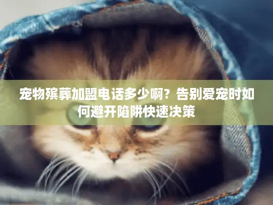 宠物殡葬加盟电话多少啊？告别爱宠时如何避开陷阱快速决策