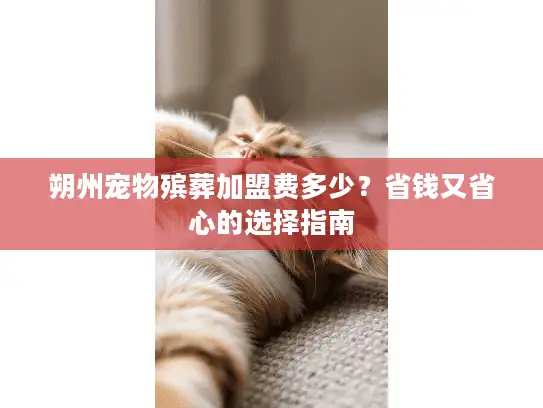朔州宠物殡葬加盟费多少？省钱又省心的选择指南