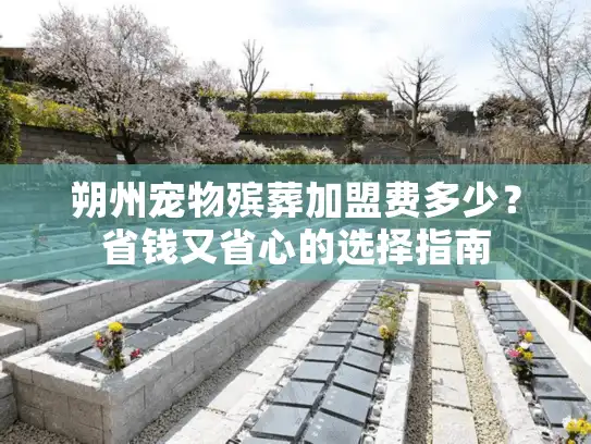 朔州宠物殡葬加盟费多少？省钱又省心的选择指南