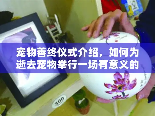 宠物善终仪式介绍，如何为逝去宠物举行一场有意义的告别仪式？