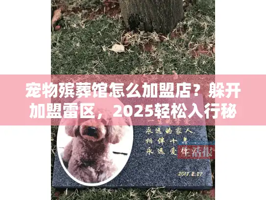 宠物殡葬馆怎么加盟店？躲开加盟雷区，2025轻松入行秘诀
