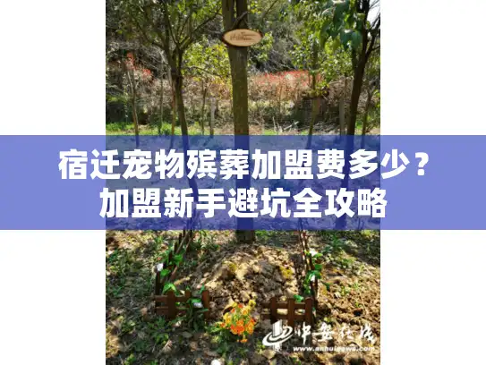 宿迁宠物殡葬加盟费多少？加盟新手避坑全攻略