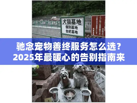 驰念宠物善终服务怎么选？2025年最暖心的告别指南来了