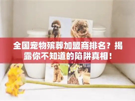 全国宠物殡葬加盟商排名？揭露你不知道的陷阱真相！