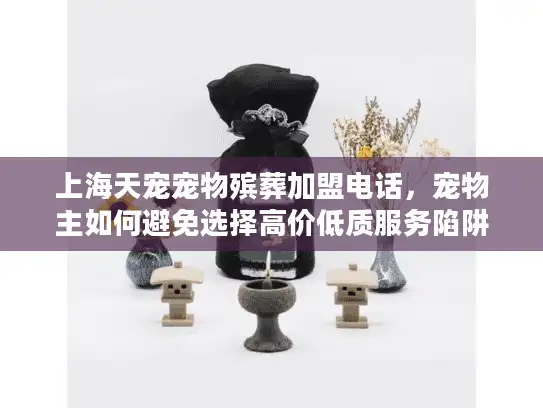 上海天宠宠物殡葬加盟电话，宠物主如何避免选择高价低质服务陷阱？