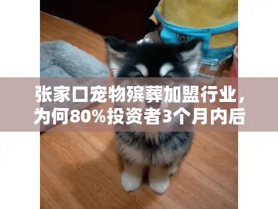 张家口宠物殡葬加盟行业，为何80%投资者3个月内后悔了？