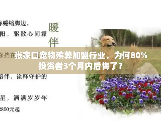 张家口宠物殡葬加盟行业，为何80%投资者3个月内后悔了？