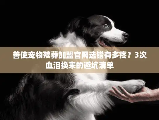 善使宠物殡葬加盟官网选错有多疼？3次血泪换来的避坑清单