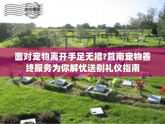 面对宠物离开手足无措?莒南宠物善终服务为你解忧送别礼仪指南