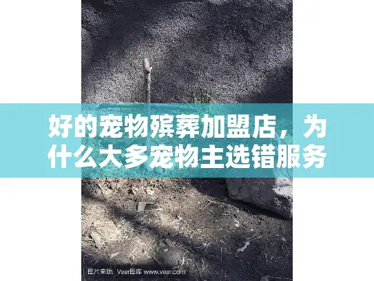好的宠物殡葬加盟店，为什么大多宠物主选错服务却悔恨不已？