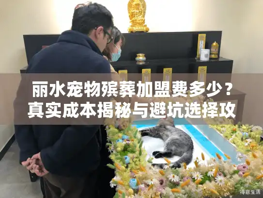 丽水宠物殡葬加盟费多少？真实成本揭秘与避坑选择攻略