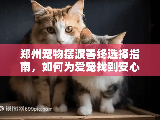 郑州宠物摆渡善终选择指南，如何为爱宠找到安心告别方案？