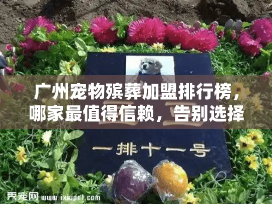 广州宠物殡葬加盟排行榜，哪家最值得信赖，告别选择焦虑？