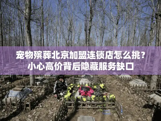 宠物殡葬北京加盟连锁店怎么挑？小心高价背后隐藏服务缺口