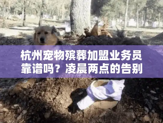 杭州宠物殡葬加盟业务员靠谱吗？凌晨两点的告别陷阱我亲身经历过