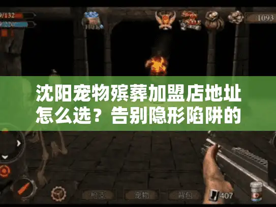 沈阳宠物殡葬加盟店地址怎么选？告别隐形陷阱的实操秘诀