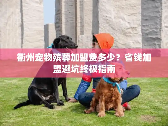 衢州宠物殡葬加盟费多少？省钱加盟避坑终极指南