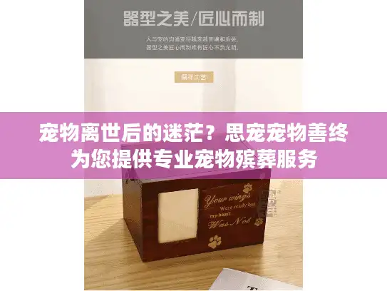 宠物离世后的迷茫？思宠宠物善终为您提供专业宠物殡葬服务