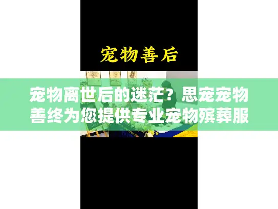 宠物离世后的迷茫？思宠宠物善终为您提供专业宠物殡葬服务