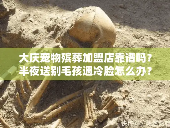 大庆宠物殡葬加盟店靠谱吗？半夜送别毛孩遇冷脸怎么办？