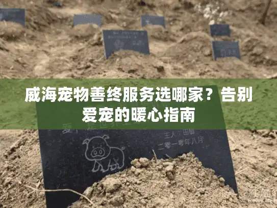 威海宠物善终服务选哪家？告别爱宠的暖心指南