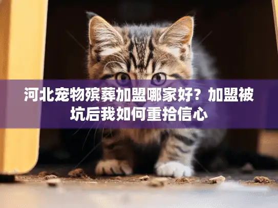 河北宠物殡葬加盟哪家好？加盟被坑后我如何重拾信心