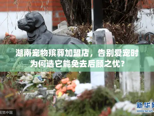 湖南宠物殡葬加盟店，告别爱宠时为何选它能免去后顾之忧？