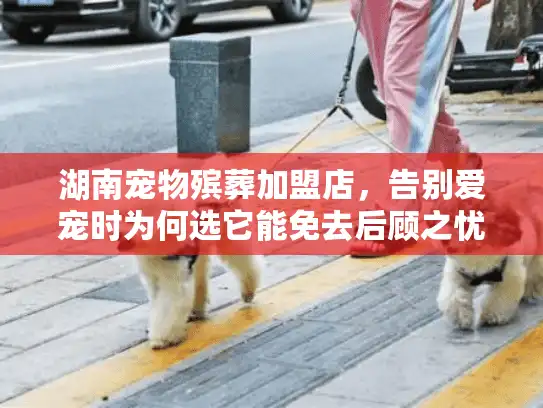 湖南宠物殡葬加盟店，告别爱宠时为何选它能免去后顾之忧？