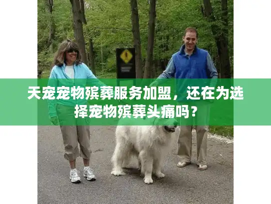 天宠宠物殡葬服务加盟，还在为选择宠物殡葬头痛吗？