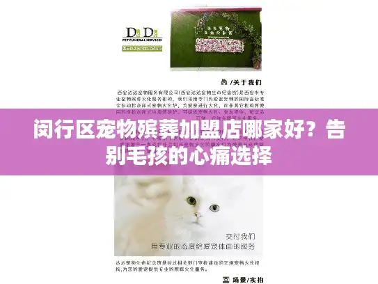 闵行区宠物殡葬加盟店哪家好？告别毛孩的心痛选择