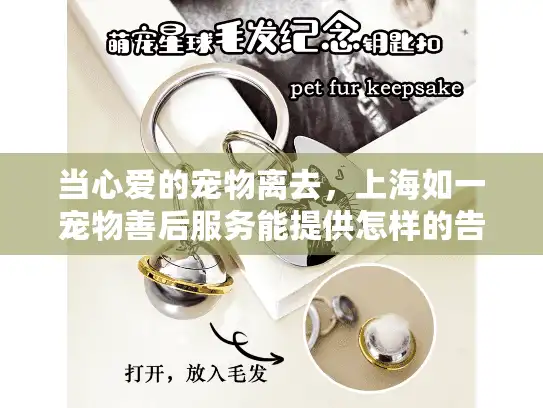 当心爱的宠物离去，上海如一宠物善后服务能提供怎样的告别?
