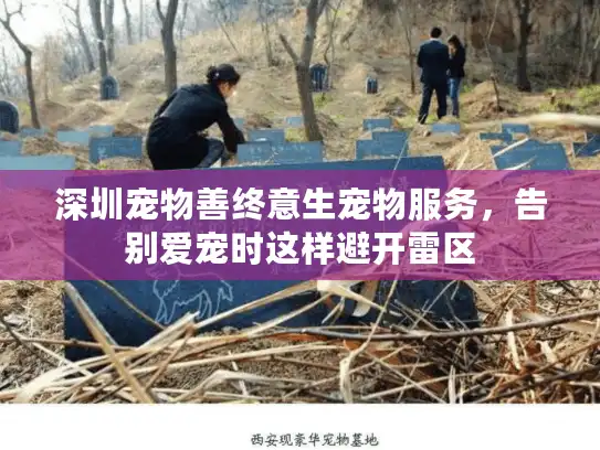 深圳宠物善终意生宠物服务，告别爱宠时这样避开雷区