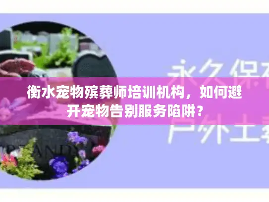 衡水宠物殡葬师培训机构，如何避开宠物告别服务陷阱？