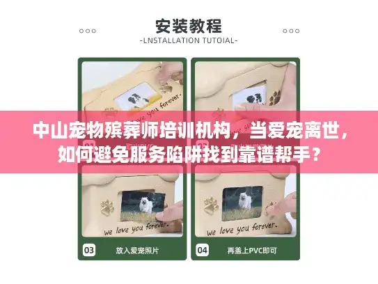 中山宠物殡葬师培训机构，当爱宠离世，如何避免服务陷阱找到靠谱帮手？