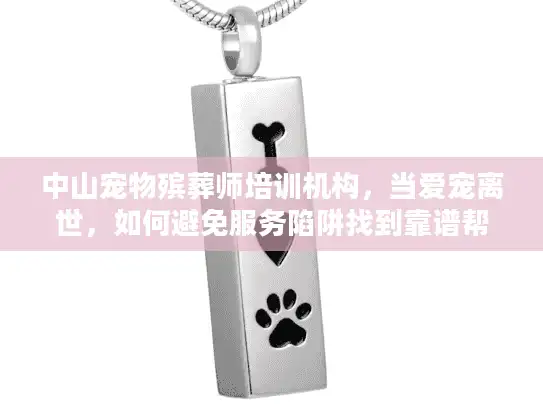 中山宠物殡葬师培训机构，当爱宠离世，如何避免服务陷阱找到靠谱帮手？