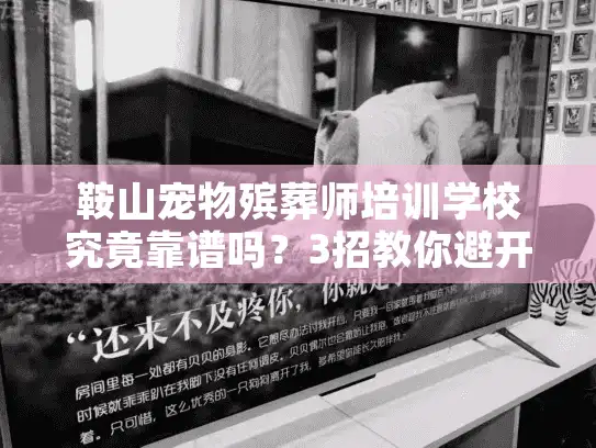 鞍山宠物殡葬师培训学校究竟靠谱吗？3招教你避开高价低质服务